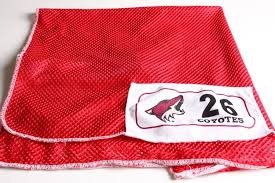 Arizona Coyotes Laundry Bag - RED